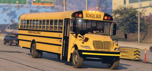 School Bus 1 E7X1W